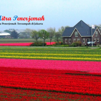 Jasa Penerjemah Bahasa Belanda